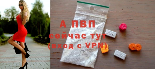 эйфоретик Арсеньев